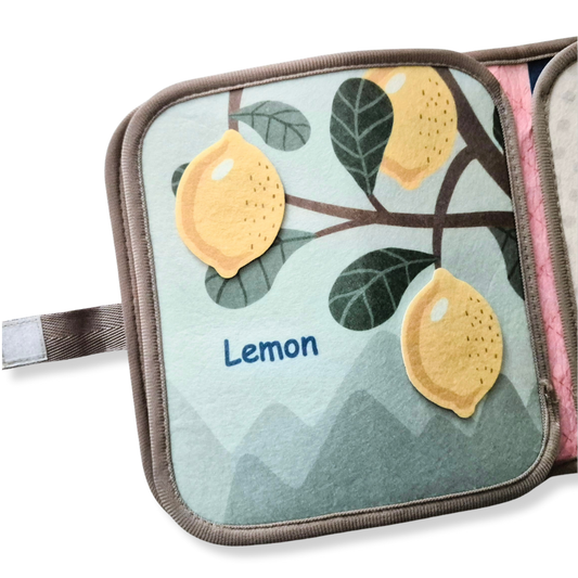 3D Quiet Activity Book-Fruit