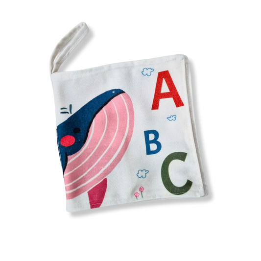 Baby's First ABC book